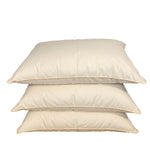 Zosu pūku un spalvu spilvens STANDARD (70/30) - Spilvens