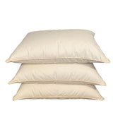 Zosu pūku un spalvu spilvens STANDARD (70/30) - Spilvens