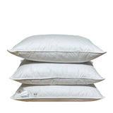 Zoss pūku un spalvu spilvens EXCLUSIVE (90/10) - Spilvens